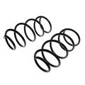 2 Pcs Front Suspension Coil Springs for 2009 BMW 335i