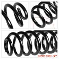 2 Pcs Rear Suspension Coil Springs for BMW E53 X5 2000-2006 SUV