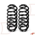 2 Pcs Rear Suspension Coil Springs for BMW E53 X5 2000-2006 SUV