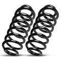 2 Pcs Rear Suspension Coil Springs for BMW E53 X5 2000-2006 SUV