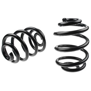 2 Pcs Rear Suspension Coil Springs for BMW E85 Z4 2003-2009 2.5 3.0L