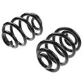 2 Pcs Rear Suspension Coil Springs for 2009 BMW Z4