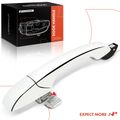 Rear Driver Chrome Exterior Door Handle for 2005 Dodge Magnum