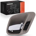 Front Passenger or Rear Passenger Taupe & Chrome Interior Door Handle for 2001 Jeep Grand Cherokee