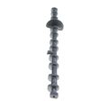 Camshaft for 2016 BMW 640i 3.0L l6