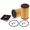 2 Pcs Full Flow Engine Oil Filter for 2009 Kia Amanti