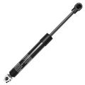 A Premium struts for 2008 BMW M6