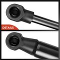 2 Pcs Rear Trunk Lift Supports Shock Struts for BMW Z3 E36 1999-2002 M Roadster