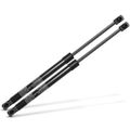 2 Pcs Tailgate Lift Supports Shock Struts for 2020 Mazda 3 Sport