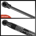 2 Pcs Front Hood Lift Supports Shock Struts for Acura TSX Honda Accord