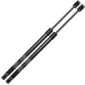 2 Pcs Rear Tailgate Lift Supports Shock Struts for 2018 Volkswagen Atlas