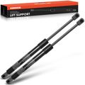 2 Pcs Front Hood Lift Support Shock Struts for 2022 Lincoln Aviator