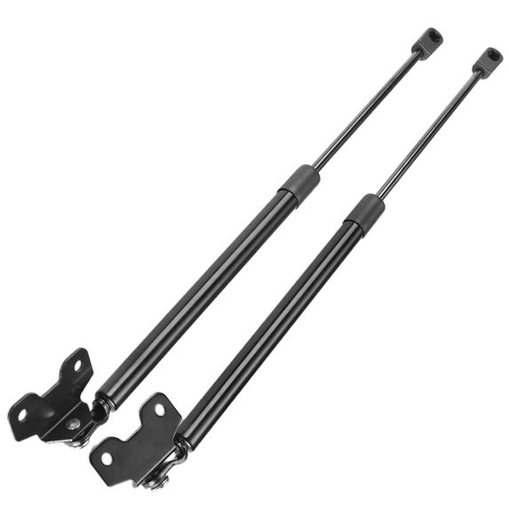 2 Pcs Front Hood Lift Supports Shock Struts for Acura RL 1996-2004 TL 1996-1998
