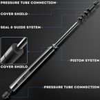 2 Pcs Rear Tailgate Lift Supports Shock Struts for Acura MDX 2001-2006