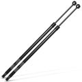 A Premium struts for 1999 Pontiac Firebird