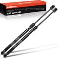 2 Pcs Front Hood Lift Supports Shock Struts for Kia Amanti 2004-2006 Sedan