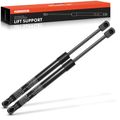 2 Pcs Front Hood Lift Supports Shock Struts for 2020 Kia Soul