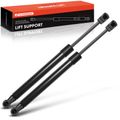 2 Pcs Front Hood Lift Supports Shock Struts for 2007 Nissan Maxima