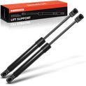 2 Pcs Front Hood Lift Supports Shock Struts for Acura RDX 2013-2018