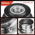 Rear Driver or Passenger Wheel Bearing & Hub Assembly for 2007 Audi A4