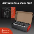 6 Pcs Black Ignition Coil & 6 Pcs IRIDIUM Spark Plug Kit for 2003 Lincoln LS