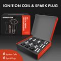 6 Pcs Ignition Coil & 6 Pcs IRIDIUM Spark Plug Kit for BMW E46 E60 E65 E83 320i M3 X5 Z4