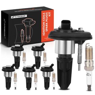 6 Pcs Black Ignition Coil & 6 Pcs IRIDIUM Spark Plug Kit for Chevy Trailblazer GMC Buick