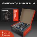 Contents of A-Premium 1998 BMW 740i  ignition coil &  spark plug kit