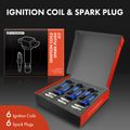 6 Pcs Ignition Coils & 6 Pcs Iridium & Platinum Spark Plug Kits for Ford Explorer Lincoln