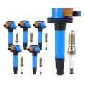 6 Pcs BLue Ignition Coils & 6 Pcs Iridium & Platinum Spark Plug Kits for Ford F-150