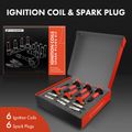 6 Pcs Ignition Coils & 6 Pcs Iridium & Platinum Spark Plug Kits for Ford