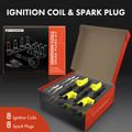 8 Pcs Ignition Coils & 8 Pcs Platinum Spark Plug Kits for Ford F-150 Lincoln