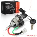 Ignition Lock Cylinder Zamak 5 with 2 Keys for Kia Sedona 2007-2011 Hyundai Entourage