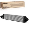 Air Cooled Intercooler for 2014 Ford Focus