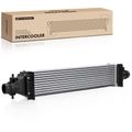 Air Cooled Intercooler for 2020 Kia Stinger 2.0L l4