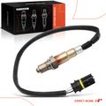 Downstream O2 Oxygen Sensor for 2006 BMW 530i 3.0L l6