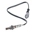 2 Pcs Upstream & Downstream O2 Oxygen Sensor for Honda Accord 98-02 2.3L F23A1 F23A5