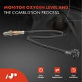 O2 Oxygen Sensor for 2005 Porsche Carrera GT 5.7L V10