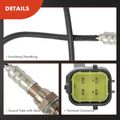 2 Pcs Downstream Left & Right O2 Oxygen Sensor for 2013 Nissan GT-R