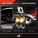 2 Pcs Downstream O2 Oxygen Sensor for Honda Accord 2013-2017 3.5L