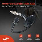Downstream O2 Oxygen Sensor for Dodge Grand Caravan Grand Voyager Town & Country