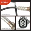 2 Pcs Upstream & Downstream O2 Oxygen Sensor for Honda Accord 1998-99 V6 3L J30A1