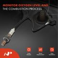 O2 Oxygen Sensor for 2007 Mitsubishi Raider