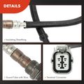 Downstream O2 Oxygen Sensor for 2005 Honda CR-V