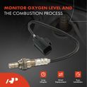 Center O2 Oxygen Sensor for Volvo S80 2010-2014 XC60 XC70 2010-2015 L6 3.2L Gas