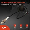 Downstream Left or Right O2 Oxygen Sensor for 2017 Lincoln Navigator