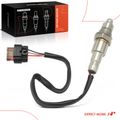 O2 Oxygen Sensor for 2019 Ford Transit-250