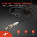 Downstream O2 Oxygen Sensor for 2019 Volvo XC60