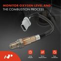 Downstream Left or Right O2 Oxygen Sensor for Chevy Camaro Cadillac CTS ATS CT5