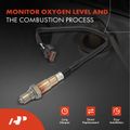 O2 Oxygen Sensor for 2018 Ford F-150 3.3L V6